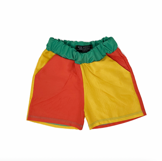 Color Block Boardshorts